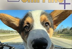 Winston